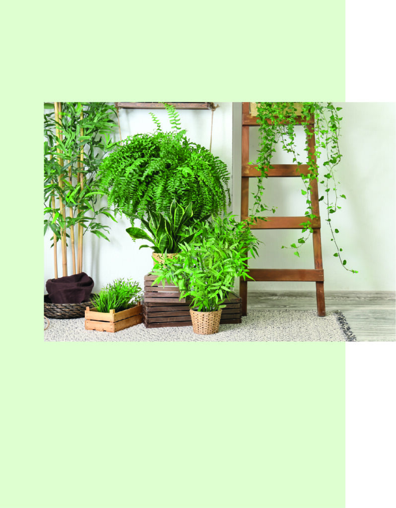 Plantas de interior verdes junto a una escalera de madera, con macetas de mimbre y cajas de madera sobre una alfombra clara.